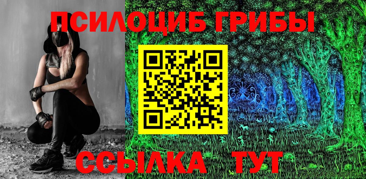 Галлюциногенные грибы GOLDEN TEACHER Татарск